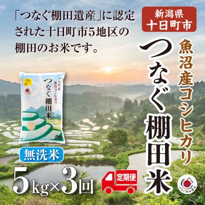 ふるさと納税 十日町市 【毎月定期便】新潟県十日町市魚沼産コシヒカリ「つなぐ棚田米」無洗米5kg全3回