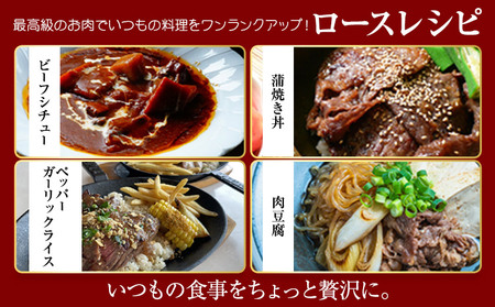 博多和牛 ロース 上 500g 株式会社寛大グループ 《30日以内に出荷予定(土日祝除く)》 肉 福岡県 小竹町 にく