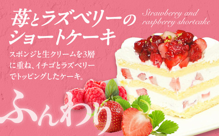 ケーキ・タルトセット （ナッツタルト 苺のショートケーキ） / デザート[AFAK240]