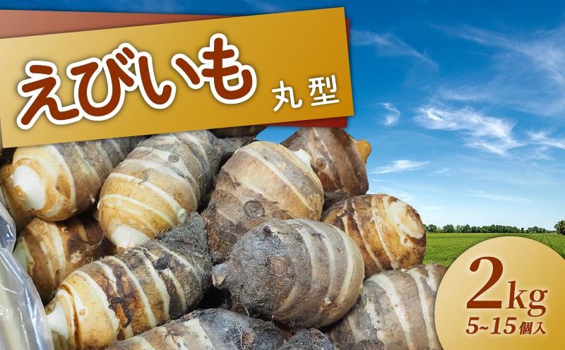 
            京都 えびいも 丸型 2kg 京野菜 伝統 野菜 5-15個入 お正月 京料理 いも おばんざい さといも 煮物 あんかけ 素焼き 椀だね
          