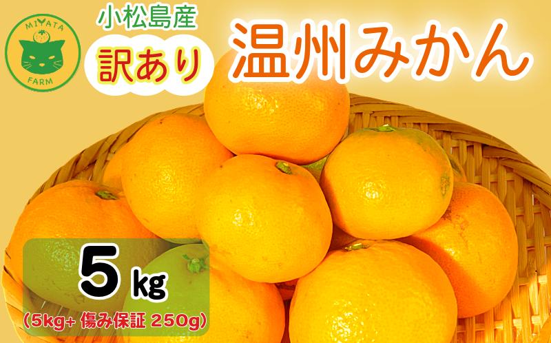【2026年11月発送】 訳あり みかん 温州みかん5kg（5kg+傷み保証250g） ミカン 蜜柑 甘い フルーツ 柑橘 ジュース 小松島市 オススメ 人気 ふるさと納税 5kg