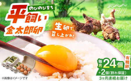 【3回定期便】【TVで紹介！】【鮮度ＡＡ級の世界最高ランク！】金太郎卵 平飼い たまご 24個（6個×4パック）＜有限会社フジノ香花園＞那珂川市 平飼い卵 卵 平飼い卵 卵 平飼い 卵 平飼い 平飼いたまごたまご [GAM033] 35000 35000円