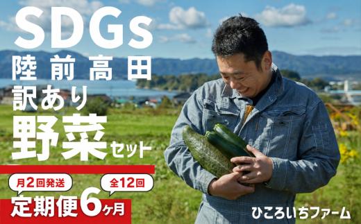【定期便6ヶ月／毎月2回発送：合計12回発送】農家のおすそわけ（訳アリ）野菜便（お試し）　5~7種 【 農家 野菜詰め合わせ 野菜 詰め合わせ セット 訳あり 】季節 旬 野菜 詰め合せ 国産 季節 旬 おまかせ 産地直送 春野菜 夏野菜 秋野菜 葉物 根菜 冷蔵 ダイエット 食 栄養食 カット野菜 岩手県産 季節限定 送料無料 岩手県 陸前高田市 RT3404ｰ6-2