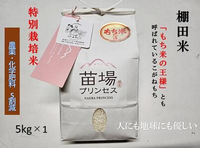 魚沼産こがねもち 精米5kg 特別栽培米 農薬化学肥料5割減 |津南町 こがねもち