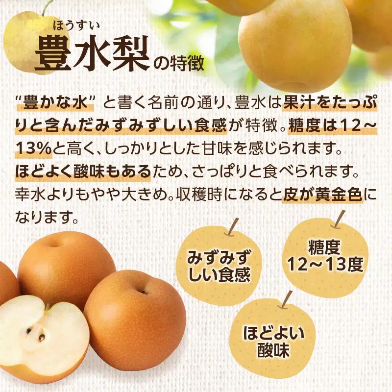 【先行受付】豊水梨（5kg）【ＪＡふくおか八女】｜8月中旬～発送予定  糖度12～13% なし 梨 ナシ 豊水梨 豊水 福岡 4L〜2Lサイズ 産地直送 期間限定 甘い みずみずしい 果物 果実 フル