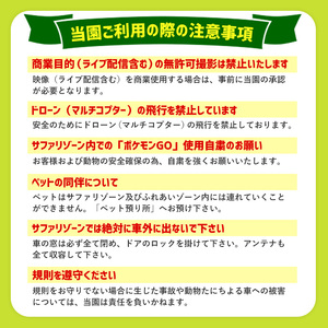アフリカンサファリ入園券とオリジナルクリアファイルのセット(入園券(小人2枚)とクリアファイル)チケット 動物園 サファリパーク形動物園 家族旅行 デート 観光【110600300】【九州アフリカ・ラ