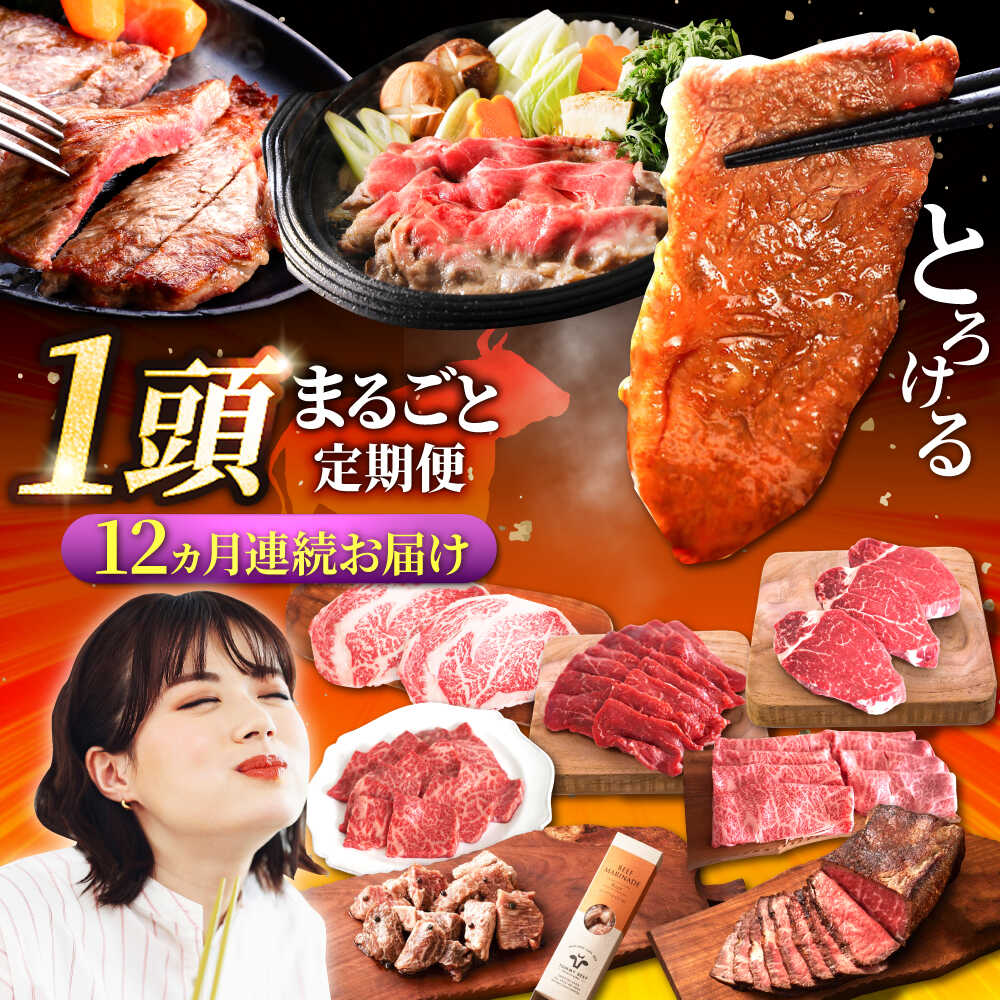 【ふるさと納税】【牧場直送】【12回定期便】佐賀県産 しろいし牛 1頭まるごと 定期便【佐賀セントラル牧場】国産 肉 お肉 牛肉 冷凍 定期配送 食べ比べ セット 詰め合わせ 佐賀県 白石町 [IAH225]