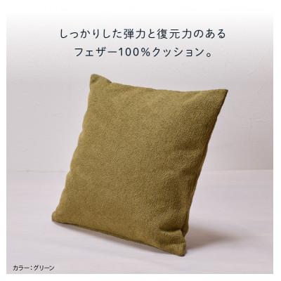 ふるさと納税 石狩市 blocco フェザー100% クッション(55cm×55cm)32-5050 460108 グレー |  | 02