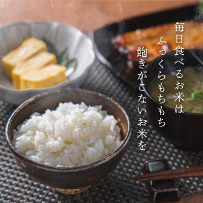 ふるさと納税 明和町 お試しサイズ 三重県産 山本農産のお米(コシヒカリ) 300g |  | 03