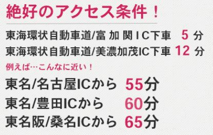 プレー割引券×5枚 （岐阜セントフィールド）