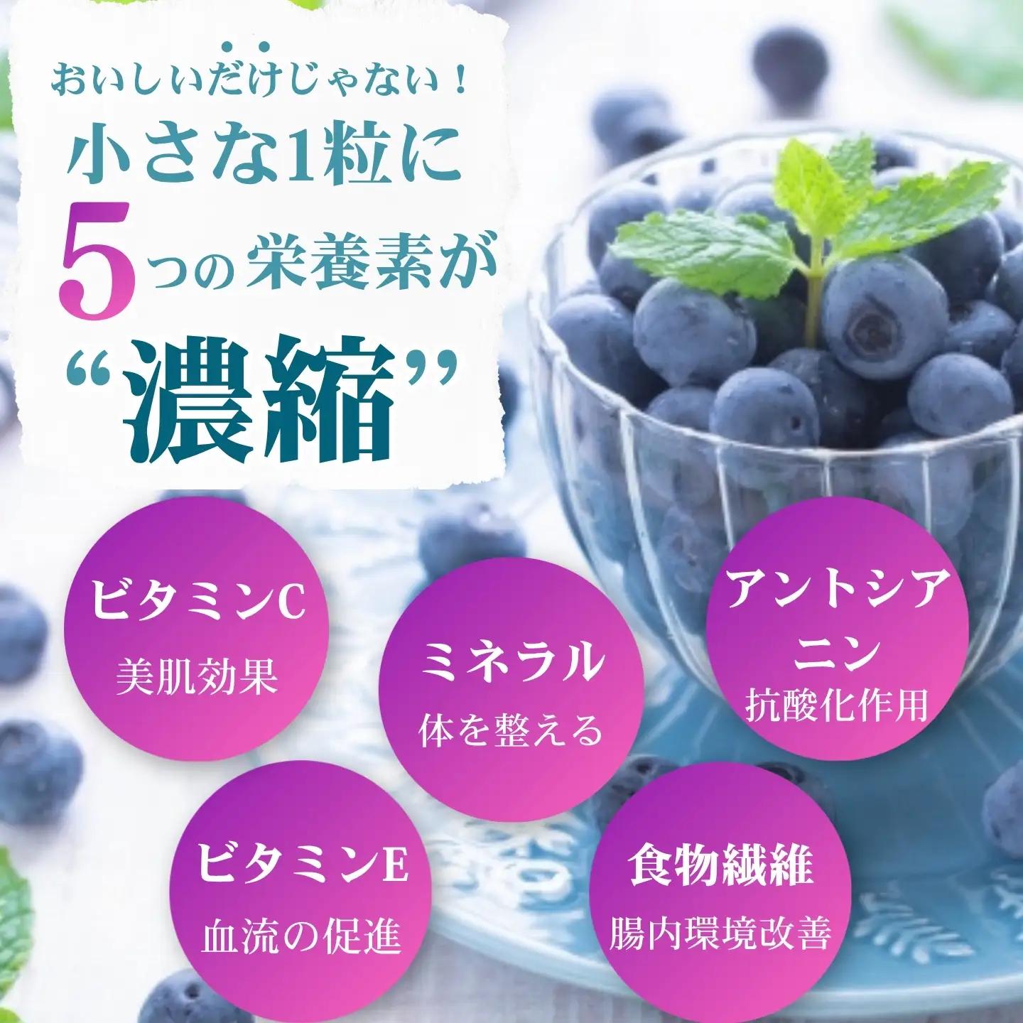 [A562-02]【訳あり】冷凍ブルーベリー1000g（500g×2パック）2026年シルクファーム産