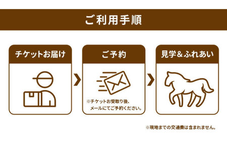 TCCセラピーパーク施設見学＆ふれあい チケット (1名様分) BIAV002 競馬 引退馬