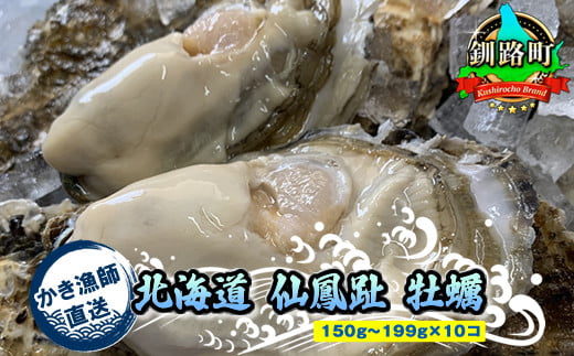 【先行予約】北海道 仙鳳趾名産 牡蠣 150g～199g×10コ＋かきナイフ付き かき漁師直送 K1-6＜出荷時期：2025年10月1日以降 順次出荷予定＞＜センポウシ : 釧路町の東 厚岸湾の西 カキの名産地＞ | せんぽうし 牡蠣 生食用 殻付き 牡蠣 絶品 産地直送 北海道 釧路町 釧路超 特産品