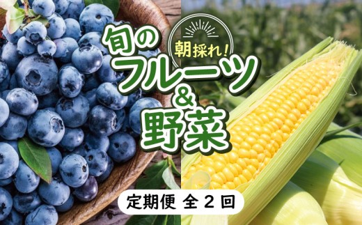 【先行予約】【全2回定期便】完熟生ブルーベリー（ラビットアイ系）600g スイートコーン 1.7kg (約5本) | 2027年発送 定期便 早期予約 農家直送 生 ブルーベリー スイートコーン とうもろこし トウモロコシ フルーツ  果物 野菜 厳選 人気 デザート 家庭用 ギフト 贈り物 くだもの 旬 甘い 先行予約 産地直送 小分け 冷蔵 期間限定 季節限定 おすすめ 高知県 南国市