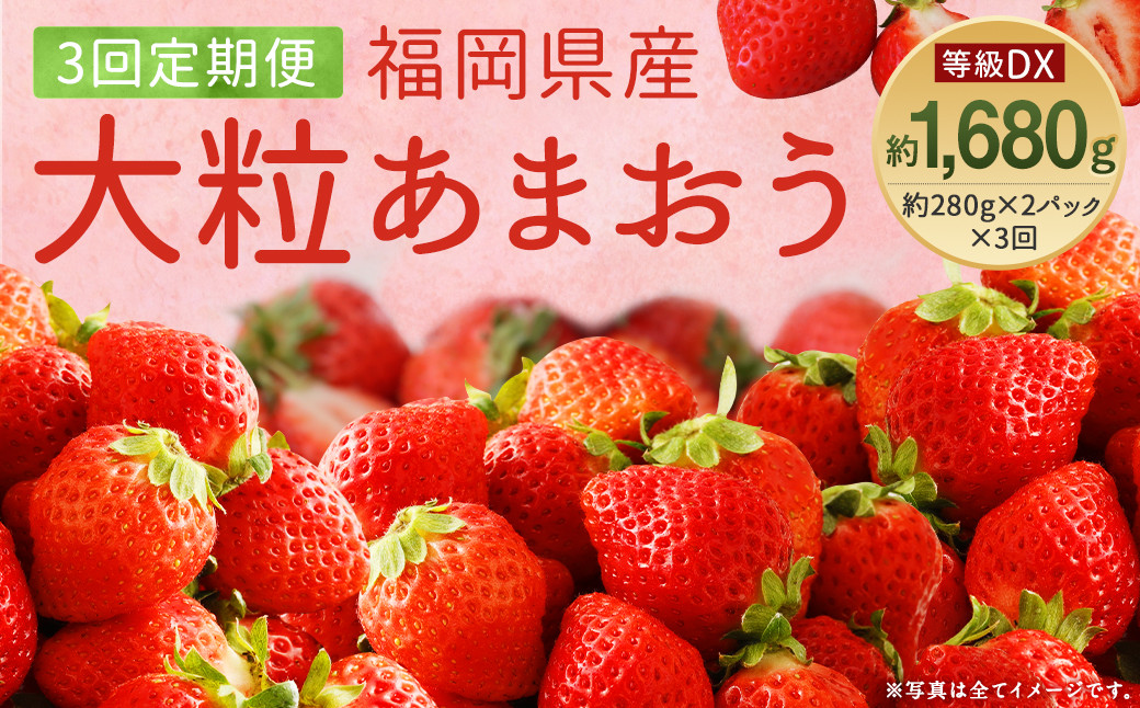 
            【3回定期便】【先行予約】あまおう 等級DX 約560g （約280g×2パック） いちご 苺 果物 フルーツ【2026年1月上旬～3月下旬迄順次発送予定】
          