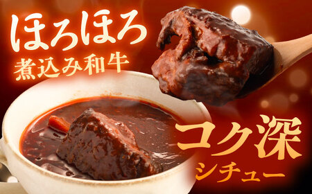 丸小本店 老舗肉屋厳選　行列のできるキッチントーキョーのビーフシチュー　1人前（250g）×2個セット / 惣菜 常備食 簡単調理 レトルト食品 /&nbsp;恵那市 / テンポイント[AUFN025