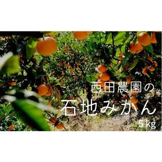 瀬戸内 石地みかん 約5kg(約50個前後) 【2026年12月以降発送】