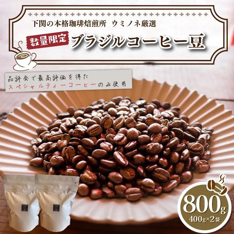 【下関 コーヒー豆】ウミノネ珈琲 コーヒー豆800g ブラジル EW 