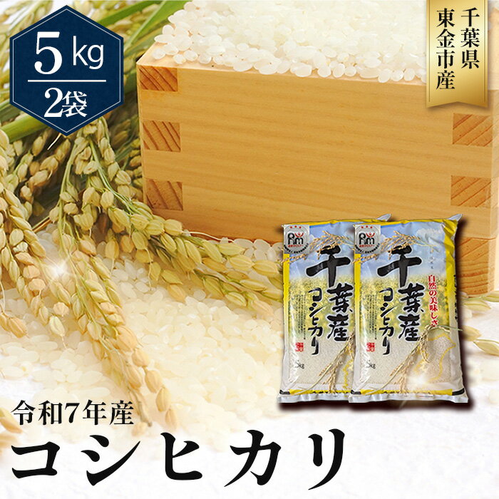 【ふるさと納税】No.347 令和7年産 コシヒカリ5kg×2袋（千葉県東金市産） ／ 米 お米 こしひかり ご飯 香り 粘り 甘味 お弁当 食事 東金市 送料無料 千葉県