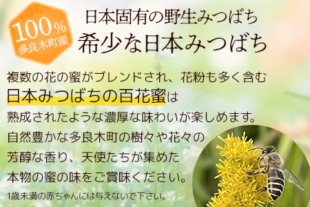 【垂れ蜜】日本みつばち 蜂蜜「天使の宝」2個 セット 希少 ニホンミツバチ 100％ はちみつ 高純度 高濃度 自然落下 無添加 ハチミツ 蜂蜜 ハニー ハチミツ