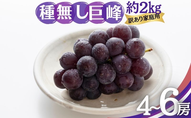 【2026年9月～発送】種無し巨峰 訳あり家庭用 約2kg 4～6房 ぶどう 葡萄 巨峰 果物 信州 長野
