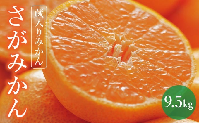 【期間限定】さがみかん （蔵入りみかん9.5kg）【温州みかん 甘い 濃厚 ジューシー コク 完熟 熟成みかん 蔵出し 蔵入り 柑橘 密柑 ギフト 果物 フルーツ 佐賀県産 佐賀県 大和 太良 石橋果樹園 人気】
