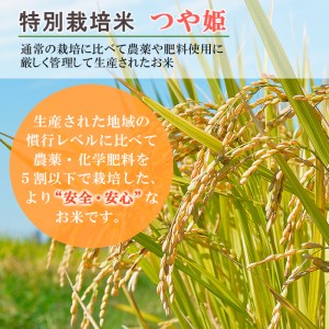 【特別栽培米】令和5年産米★最短3営業日発送★山形産 つや姫 10kg (5kg×2) すぐ発送 すぐ 発送 FZ23-715