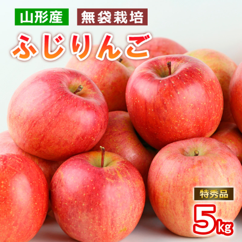 山形産 無袋栽培 ふじりんご 特秀 5kg (13～20玉) FY25-816