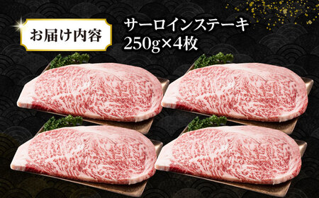 【全6回定期便】【A4〜A5ランク】長崎和牛 サーロインステーキ 1kg（250g×4枚）《壱岐市》【株式会社MEAT PLUS】 肉 牛肉 黒毛和牛 サーロイン ステーキ ご褒美 ギフト 贈答用 ご