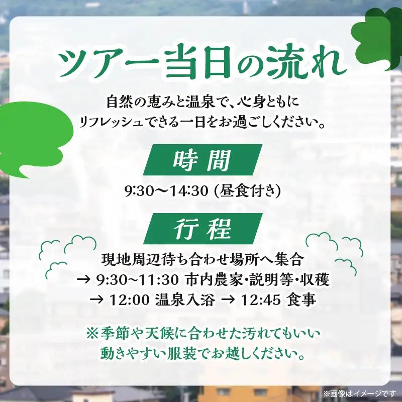 別府 収穫体験ガイド付きツアー(ペア参加)_B184-010