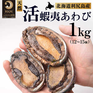 【10月中旬～12月期間限定】利尻島産 天然蝦夷『活』アワビ1kg※オンライン決済限定