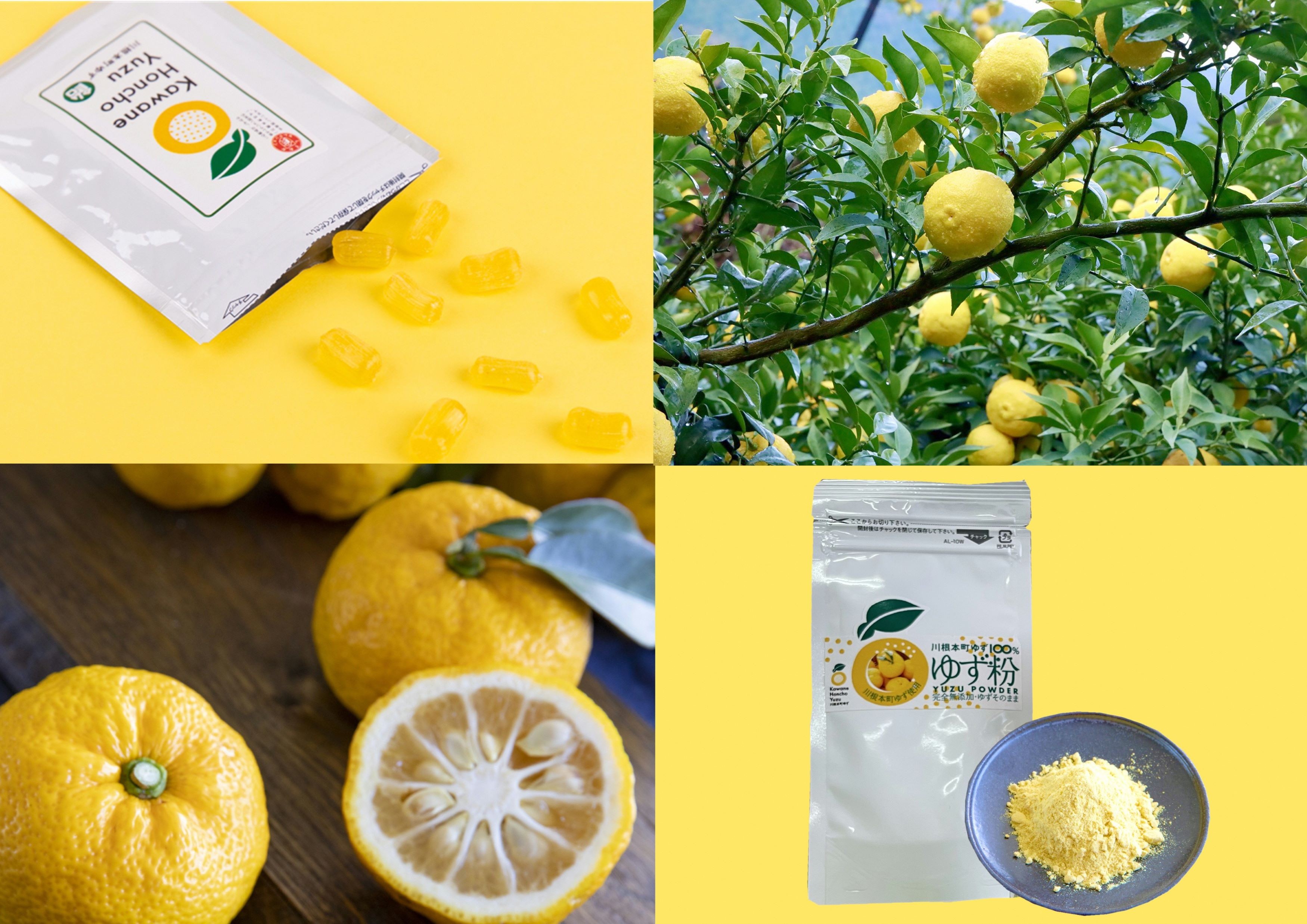 
            6-3 ゆず ゆず粉パウダー ゆず飴 / 川根本町香り高いゆずセットC
          