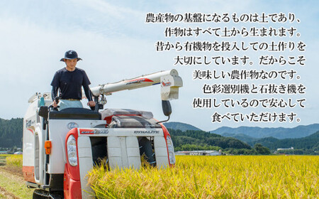 【令和8年産】 ミルキークイーン 玄米 5kg (5kg×1袋)  山形県庄内産 小池半左衛門