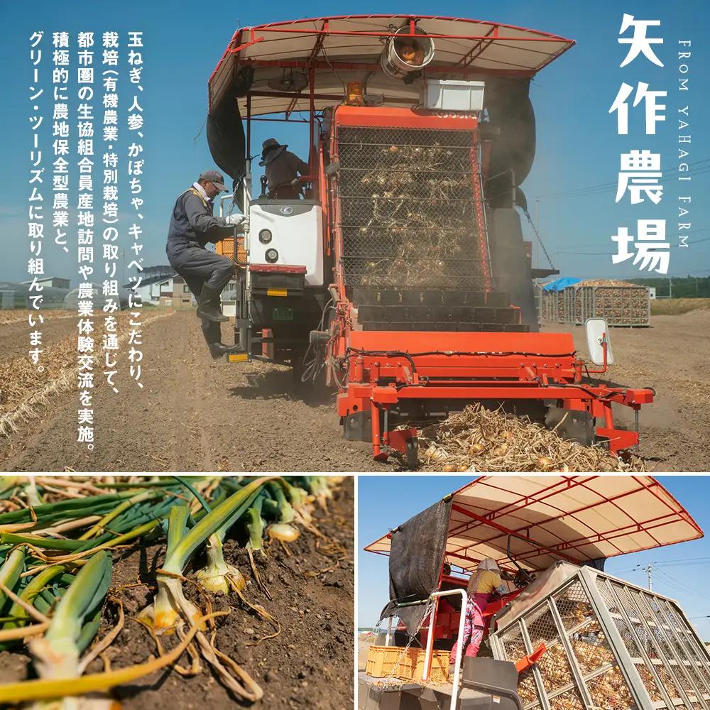 【先行受付】R8年産 有機栽培玉ねぎ 20kg | 玉ねぎ たまねぎ タマネギ 玉葱 大容量 オニオン 甘い 有機栽培 国産 産地直送 カレー ハンバーグ 煮込み 炒め物 北海道 津別町 送料無料