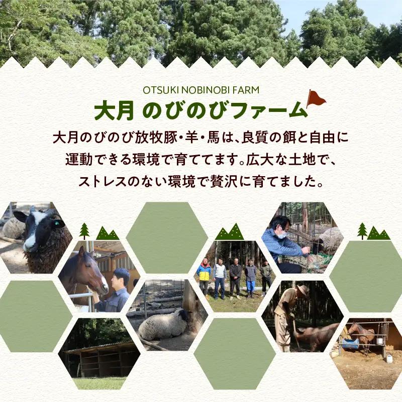 ソフトサラミソーセージ　70gシート4枚　ウィンナーソーセージ3本入りパック　2個セット