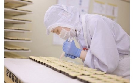 マカロン＆練切り しばたピクニック＆おみやげセット 【 マカロン 練り切り 和菓子 洋菓子 セット sinpo001 】