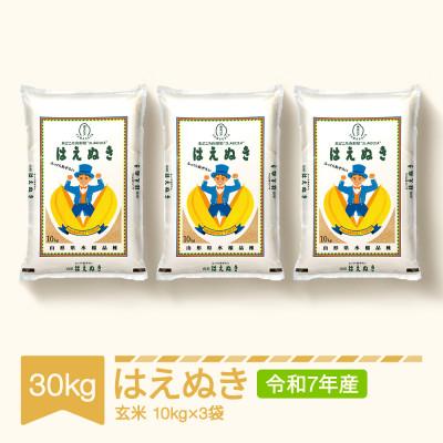ふるさと納税 村山市 はえぬき　玄米30kg(10kg×3袋)