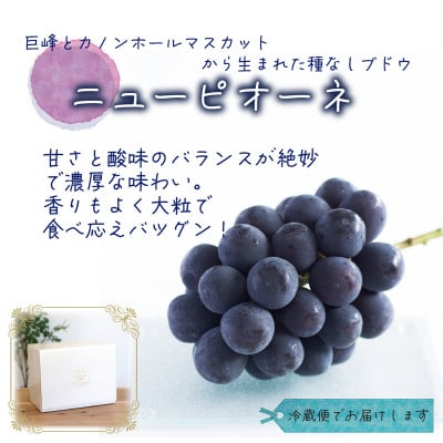 岡山　花笑み農園の『ニューピオーネ』1kg(2房)　P-1【9月上旬～順次発送】【配送不可地域：離島・北海道・沖縄県】