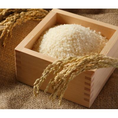 ふるさと納税 むかわ町 ななつぼし　精米　5kg×2 |  | 02