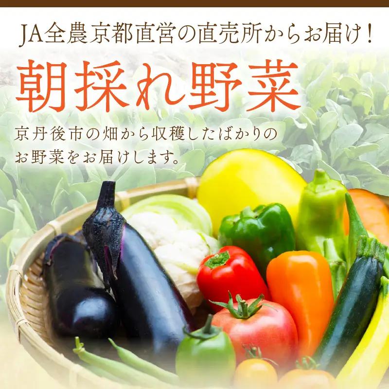 【お米＆野菜セット】 訳あり 京都産 野菜3品 コシヒカリ1kg【3回定期便】