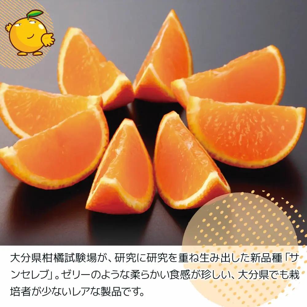 みかんサンセレブ約3kg みかん