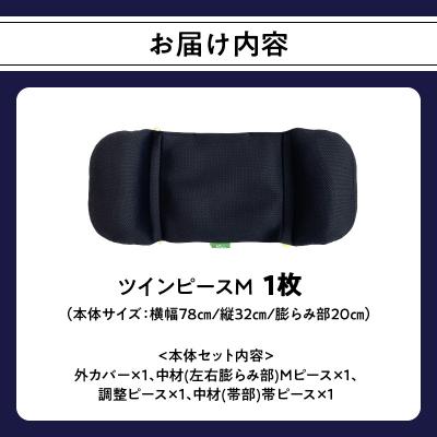 ふるさと納税 大分市 姿勢に合わせてベストな形状に可変!姿勢維持クッション ツイン ピース Mサイズ_R11009 |  | 03