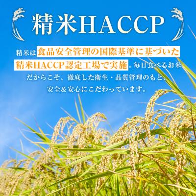 ふるさと納税 西都市 令和8年産 宮崎県産コシヒカリ無洗米10kg(5kg×2)[3302] |  | 01