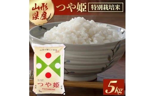 令和7年産 【精米】 特別栽培米 つや姫 5kg×1袋 AB SB0793