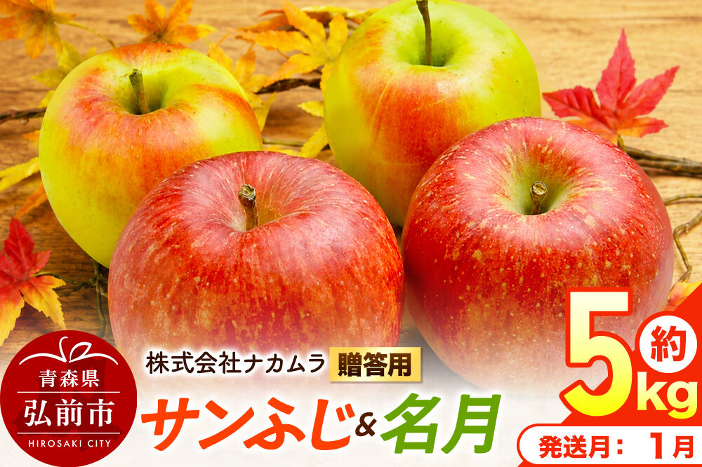 【27年1月発送】りんご サンふじ・名月【贈答用】約5kg（16〜20玉程度）先行受付 青森県産 林檎 リンゴ 果物 くだもの フルーツ 青森県 弘前市 [先行予約 産地直送 ギフト 贈り物 アップル おいしい ふじ 名月 果実 美味 甘い]