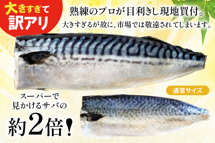 訳ありトロ 塩さば LLサイズ フィレ 3kg ★フィレ1枚250g超え！[足利本店 宮城県 気仙沼市 20565620] 魚介類 魚 海鮮 鮮魚 サバ さば 鯖 サバフィレ サバフィーレ 鯖フィレ 