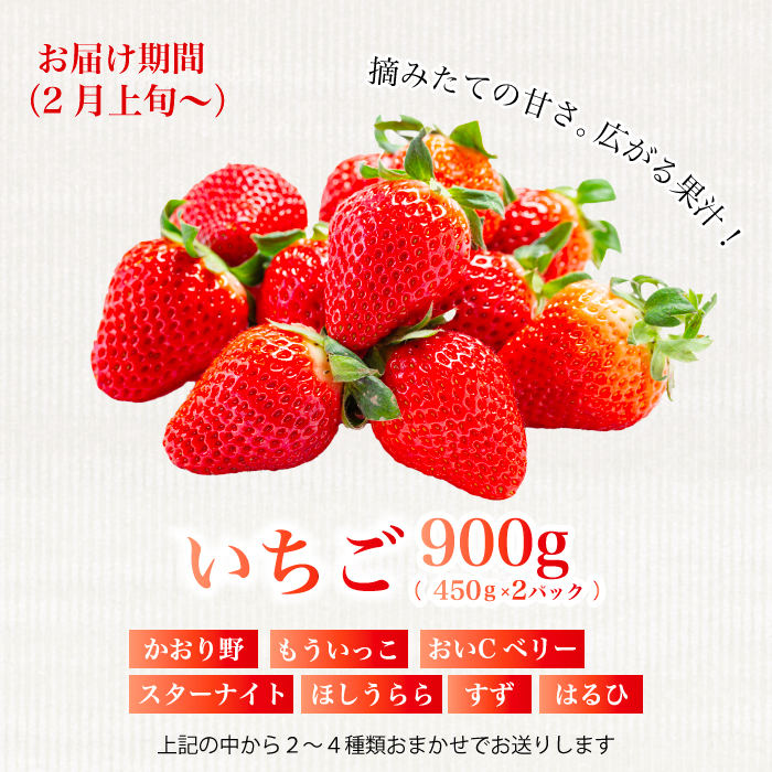 【フルーツ定期便全5回】いちご さくらんぼ 梨 ぶどう りんご 詰め合わせ 採れたて 新鮮 産地直送 果物 広島県 三原市 059014