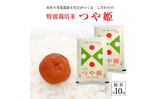 【令和8年産 新米予約】［精米］特別栽培米 つや姫　10kg(5kg×2袋)「農家直送」 KA SD0257