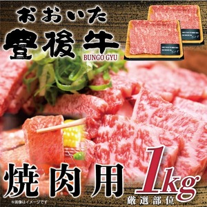 和牛 焼肉用 1kg | 和牛焼肉 津久見市