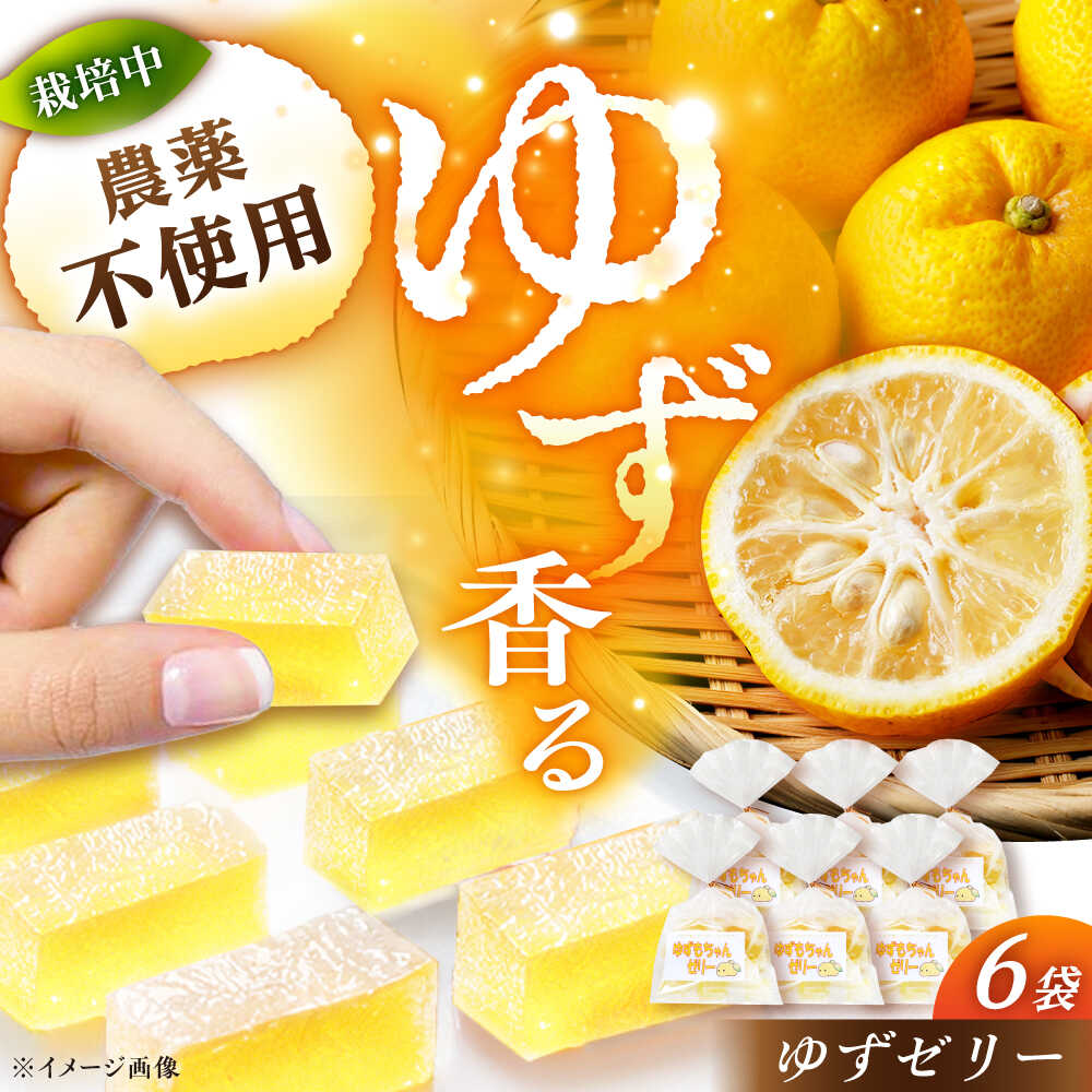【ふるさと納税】ゆずゼリー 6袋 / ゼリー ゆずゼリー お菓子 柚子 ゆず 和菓子 お菓子 おかし おやつ デザート スイーツ 柚子 ゆず お取り寄せ /恵那市/かさぎゆず組合[AUAW015]
